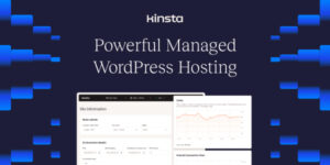 Why I Switched to Kinsta Hosting: A Game-Changer for My Business
